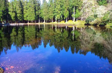 Lagoa da Falca(Patas)