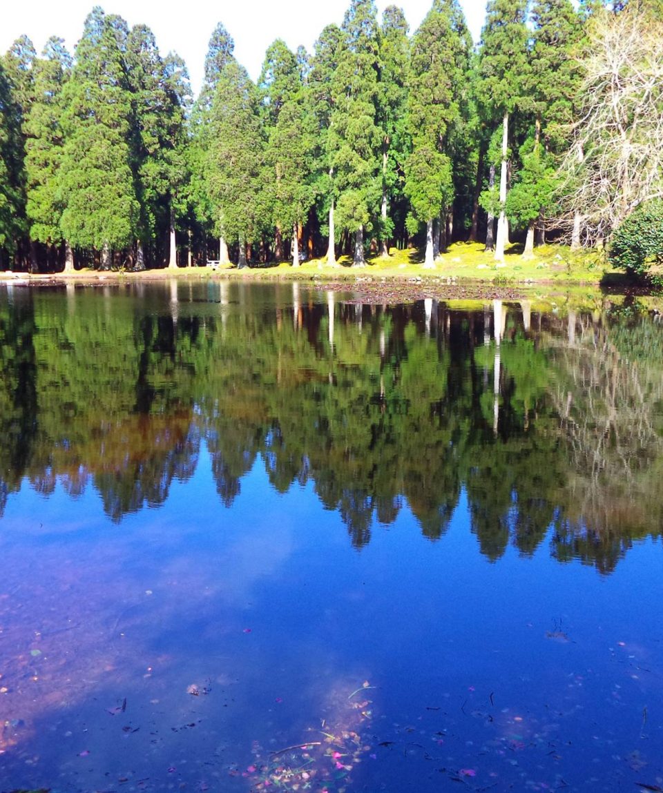 Lagoa da Falca(Patas)