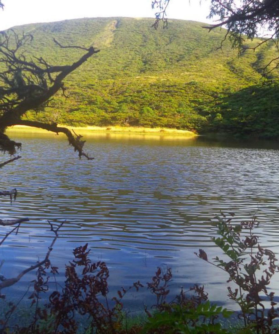Lagoinha