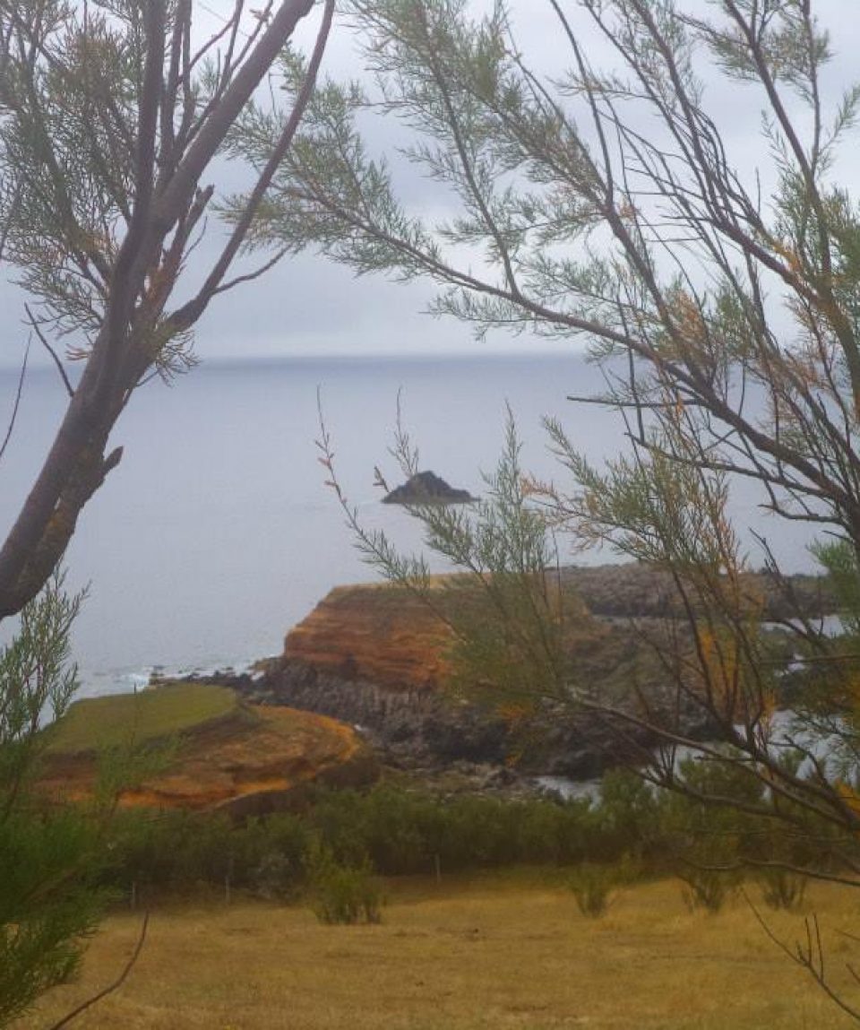 Pico dos Comos